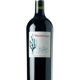 6479fb1f0b6f8_yacochuya-malbec.jpg