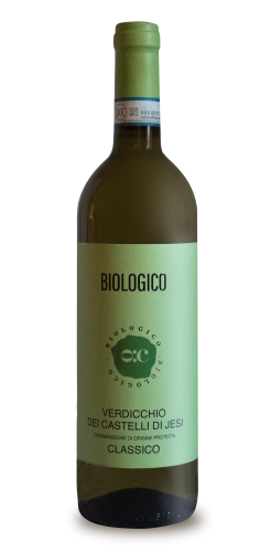 647f5d9563f4a_verdicchio-bio.png