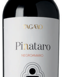 6690040478ce7_pinataro-negroamaro.png